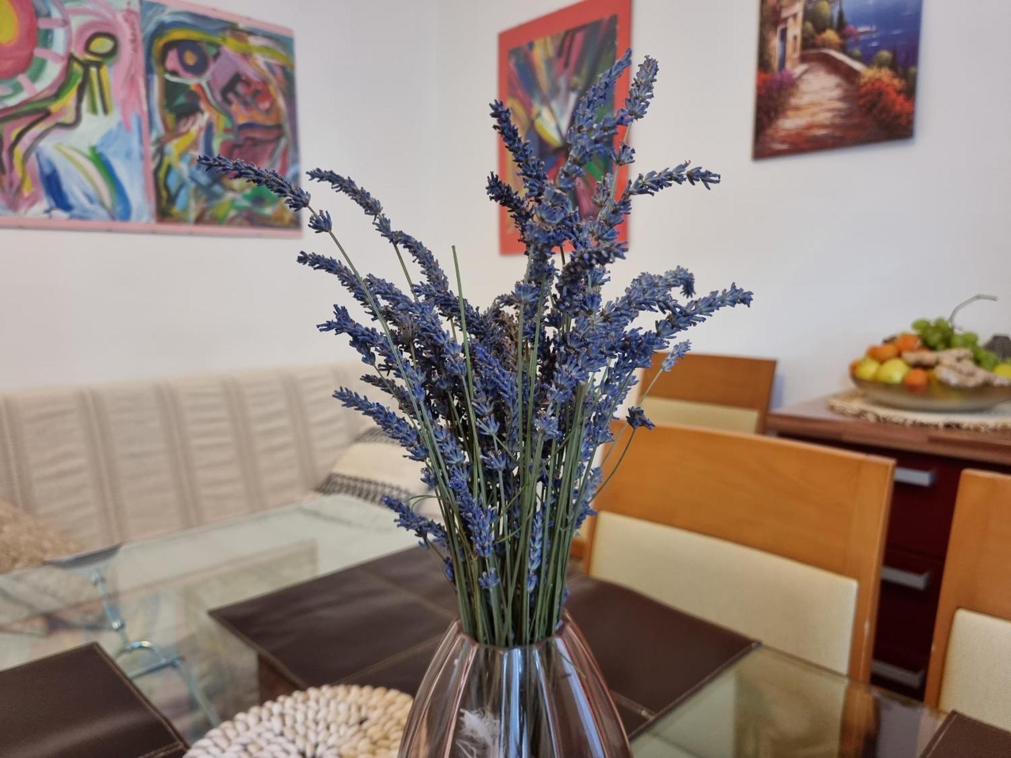 ***Apartment Magic &Summervibes*** Рийека Екстериор снимка