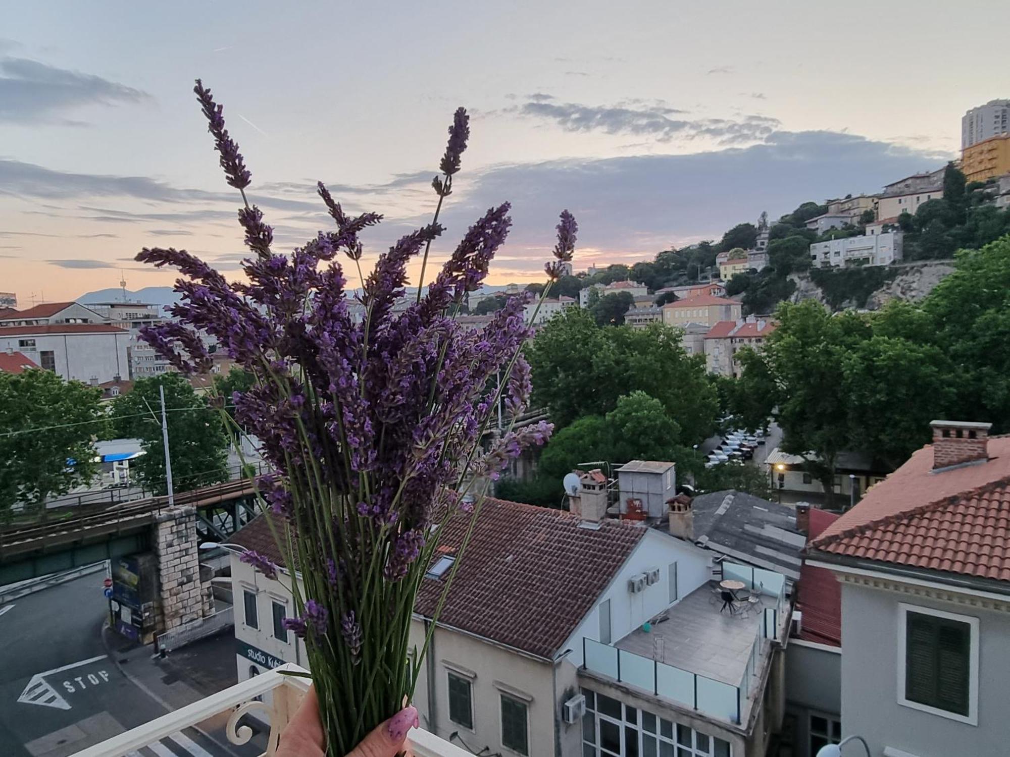 ***Apartment Magic &Summervibes*** Рийека Екстериор снимка